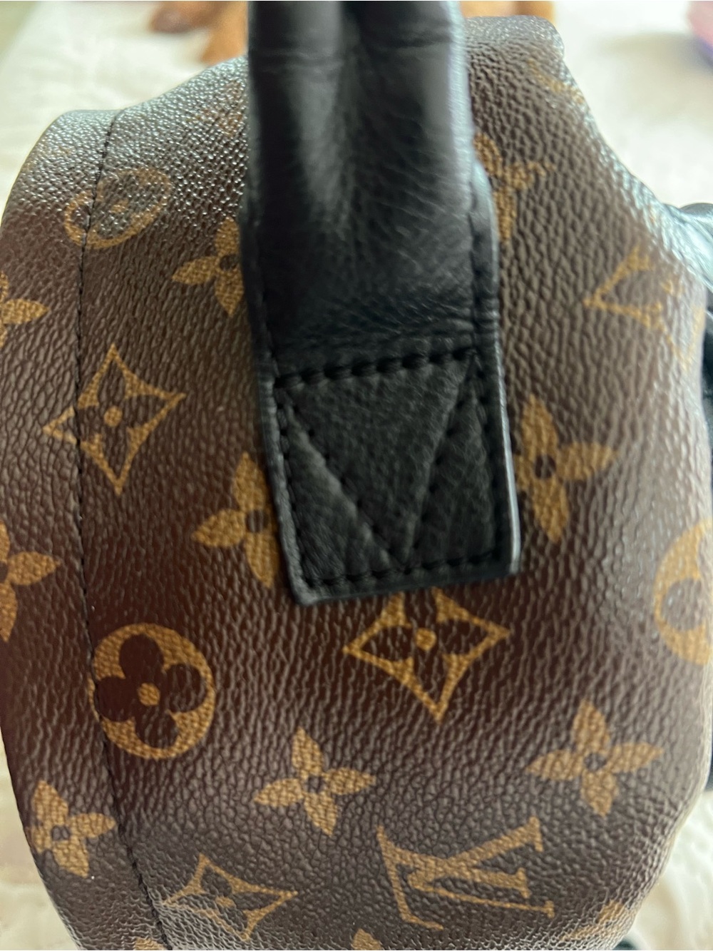 Louis Vuitton Monogram Palm Springs PM Backpack - Picture 9 of 16